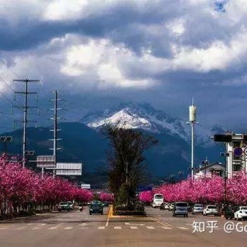 test1021D场景+按钮+表单