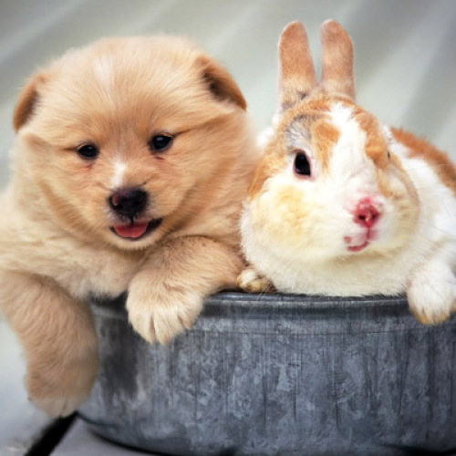 test1test1test1test1test1test1